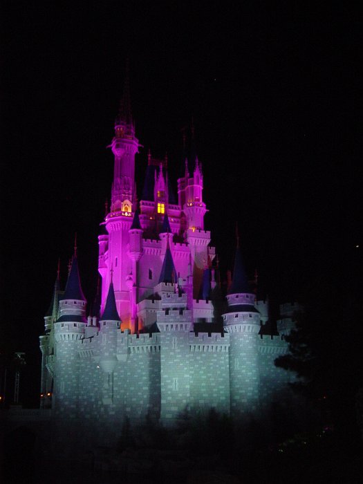 Disney 2010 242